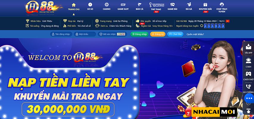 Tổng quan về các cầu thủ kỳ cựu cấp độ 123Win - 123Win