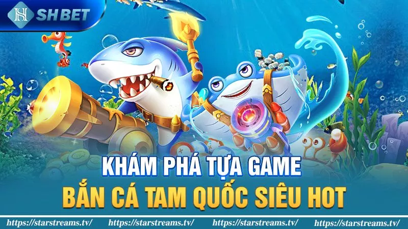 7Ball cung cấp các đơn vị xử lý thông tin linh hoạt - 7Ball