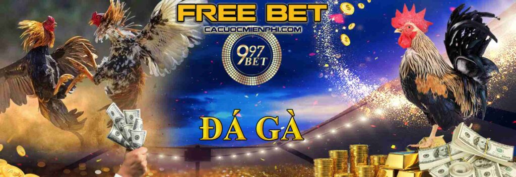 Xso99 Pakistan Daily Deals, Vô vàn ưu đãi hấp dẫn! - Xso99