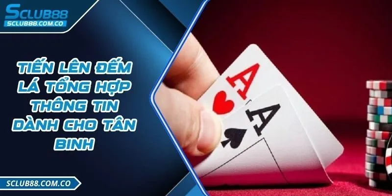 Các cuộc thi cá cược cấp độ Pkwin được lựa chọn - Pkwin