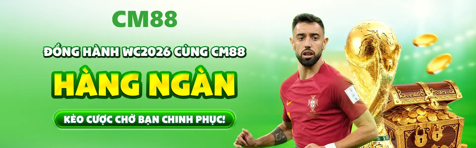 Cách thức hoạt động của Ricwin - Ricwin
