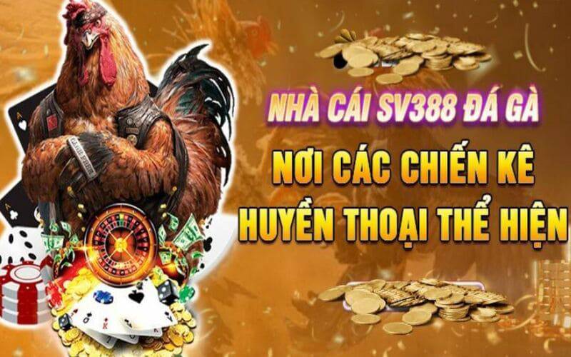 Giải đấu đá gà cấp Nohu sử dụng phương tiện công nghệ - Nohu