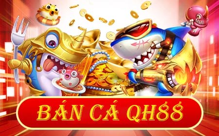 Thông tin cơ bản về nền tảng VIP Rw88 - Rw88