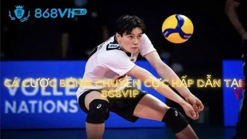 Nhận thông tin số nhận dạng xe Vl88 bất cứ lúc nào - Vl88
