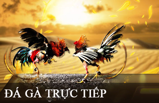Một số tựa game Bancah5 hấp dẫn nhất - Bancah5