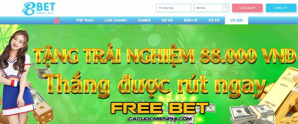 Tầm nhìn của Subet tập trung vào sự phát triển lâu dài - Subet