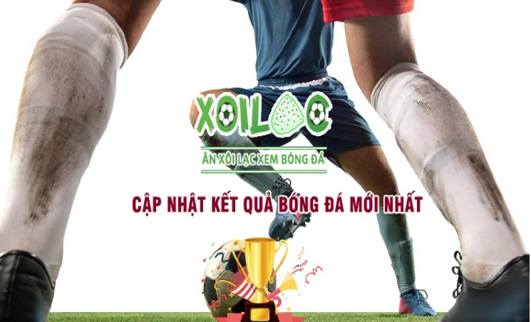 Câu lạc bộ M8win có danh tiếng như thế nào? - M8win