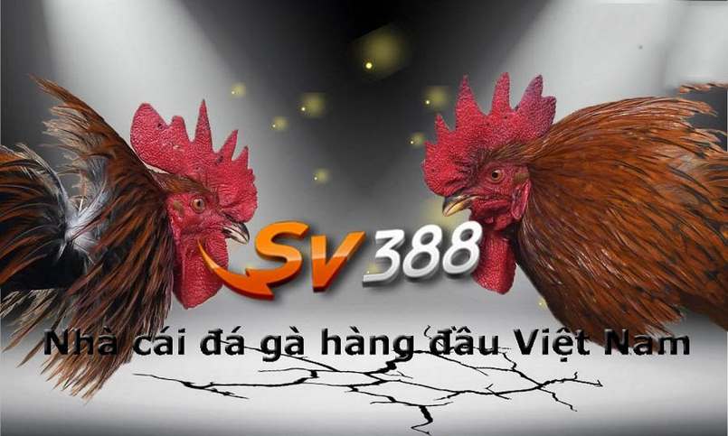 Dưới đây là một số thông tin thú vị về Bet999 - Bet999