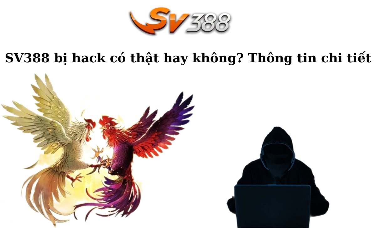 Đánh giá thư viện trò chơi trực tuyến được xếp hạng Okvip - Okvip
