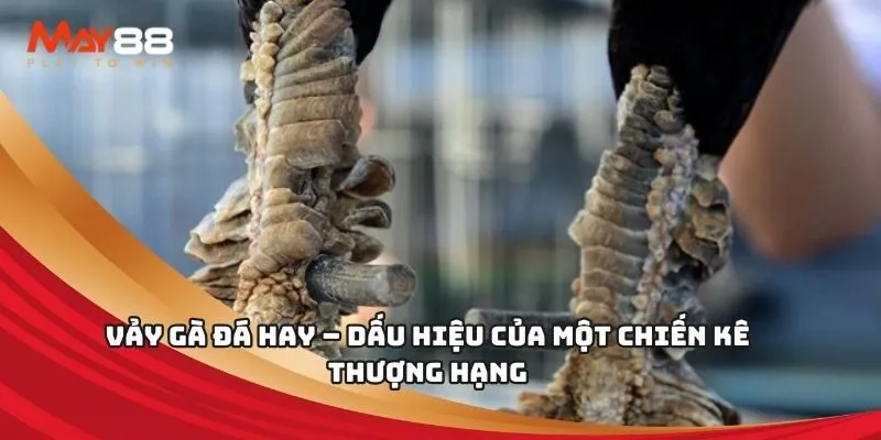 009Bet là công ty game hàng đầu và nổi tiếng nhất châu Á - 009Bet
