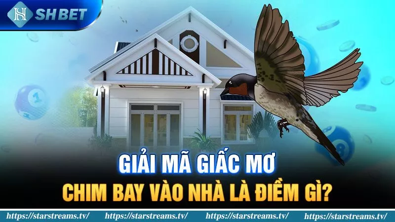 Chơi game bóng đá trên các trang web game hàng đầu (xếp hạng AAA) có đáng tin cậy không? - Fb68