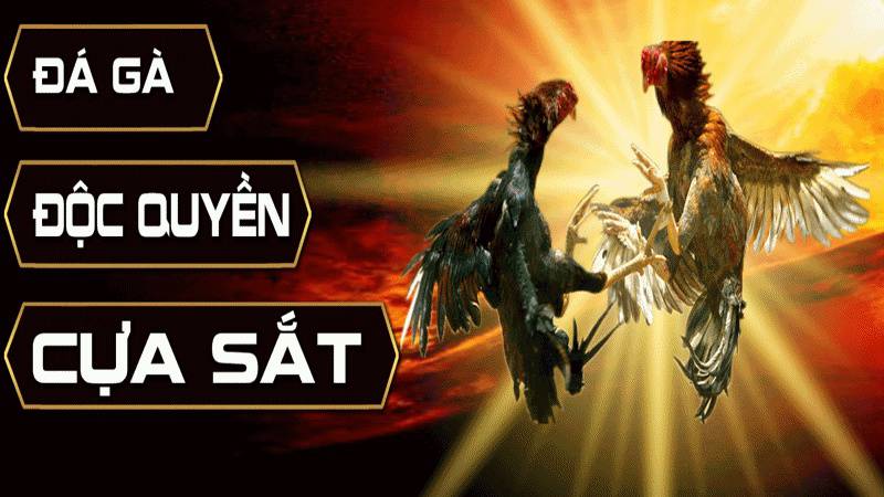 Hướng dẫn nạp và rút tiền trên trang web cổng game Aw8 - Aw8