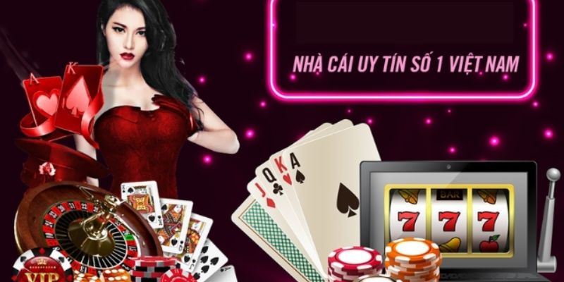 Giới thiệu ngắn gọn về nền tảng cá cược nổi tiếng Winvn Bet - Winvn
