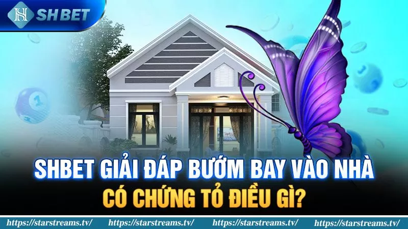 Tìm hiểu thông tin quan trọng về Ek88 - Ek88